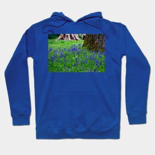 Bluebell Woods Bluebells Basildon Park Reading Berkshire Hoodie